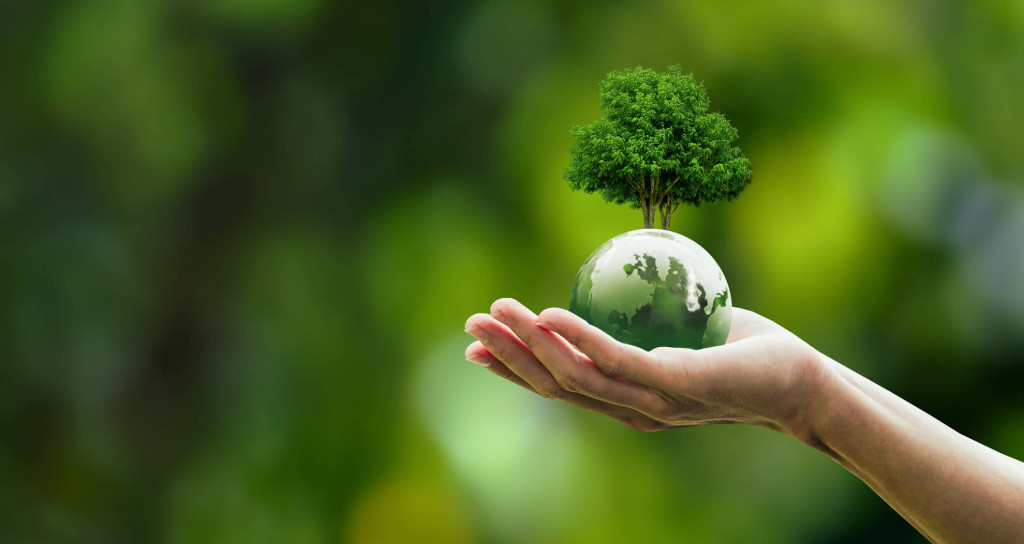 Global sustainable environment concept – ESG, net zero, eco, co2, carbon, human hand holding green globe orb with growing tree save our planet, world environment day, earth day and climate change