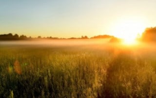 Glysofor in der kalten Nahwärme